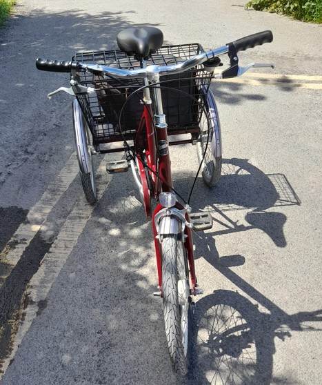 15" Pashley Picador